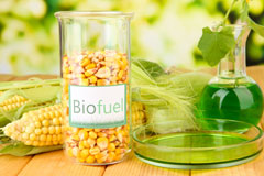 Thorn biofuel availability