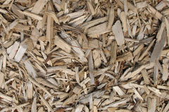 biomass boilers Thorn